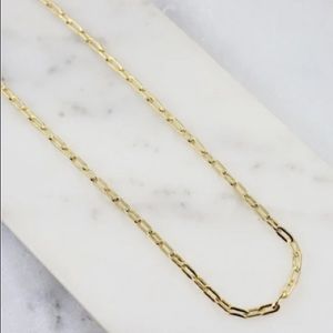 Gold chain link necklace.